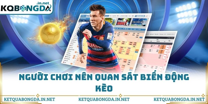Người chơi nên quan sát biến động kèo